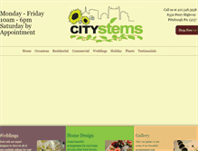 Tablet Screenshot of citystems.net